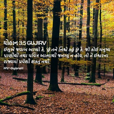 Picture 02 - યોહાન 3:5 GUJIRV - ઈસુએ જવાબ આપ્યો કે, - Bible Verse Picture