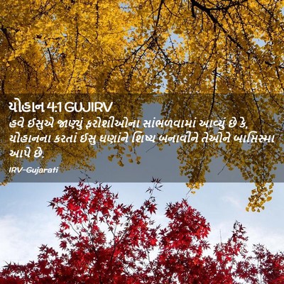 Picture 02 - યોહાન 4:1 GUJIRV - હવે ઈસુએ જાણ્યું - Bible Verse Picture
