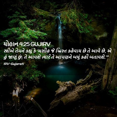 Picture 02 - યોહાન 4:25 GUJIRV - સ્ત્રીએ તેમને - Bible Verse Picture