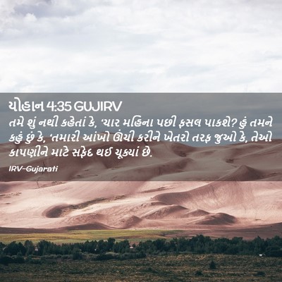 Picture 02 - યોહાન 4:35 GUJIRV - તમે શું નથી કહેતાં - Bible Verse Picture