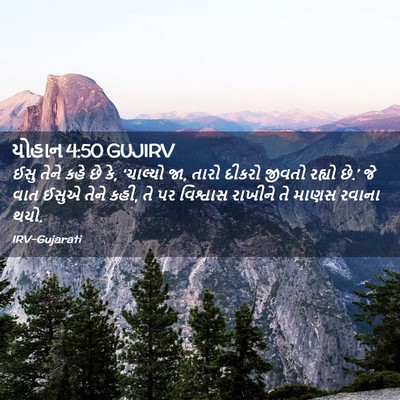 Picture 02 - યોહાન 4:50 GUJIRV - ઈસુ તેને કહે છે કે, - Bible Verse Picture