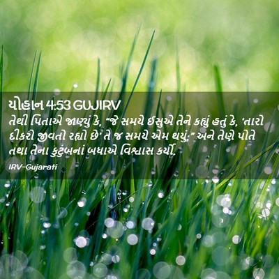 Picture 02 - યોહાન 4:53 GUJIRV - તેથી પિતાએ - Bible Verse Picture