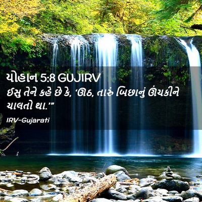 Picture 02 - યોહાન 5:8 GUJIRV - ઈસુ તેને કહે છે કે, - Bible Verse Picture