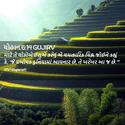 Picture 02 - યોહાન 6:14 GUJIRV - માટે તે લોકોએ ઈસુએ - Bible Verse Picture
