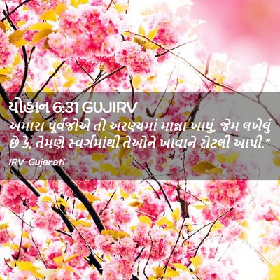 Picture 02 - યોહાન 6:31 GUJIRV - અમારા પૂર્વજોએ તો - Bible Verse Picture