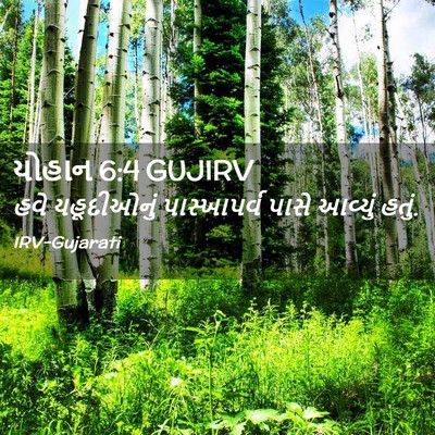 Picture 02 - યોહાન 6:4 GUJIRV - હવે યહૂદીઓનું - Bible Verse Picture