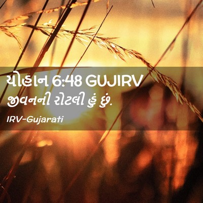 Picture 02 - યોહાન 6:48 GUJIRV - જીવનની રોટલી હું - Bible Verse Picture