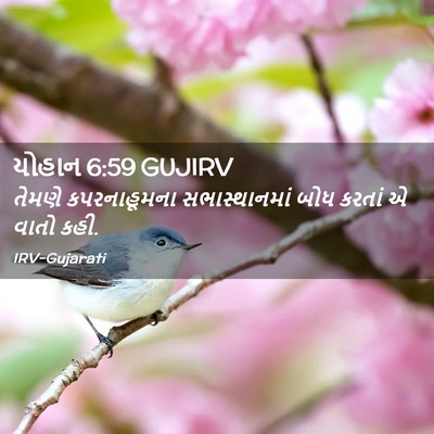 Picture 02 - યોહાન 6:59 GUJIRV - તેમણે કપરનાહૂમના - Bible Verse Picture