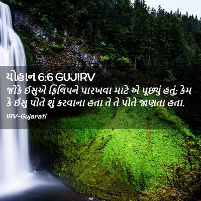 Picture 02 - યોહાન 6:6 GUJIRV - જોકે ઈસુએ ફિલિપને - Bible Verse Picture