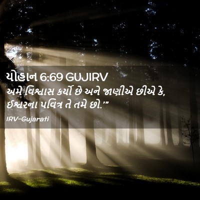 Picture 02 - યોહાન 6:69 GUJIRV - અમે વિશ્વાસ કર્યો - Bible Verse Picture