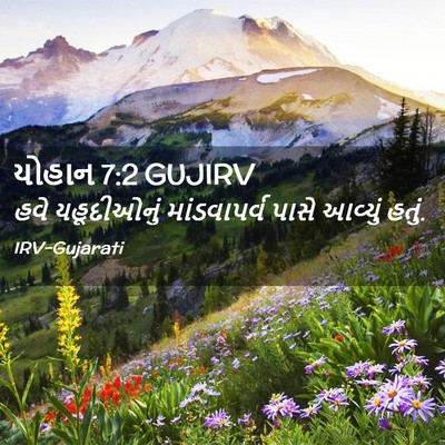 Picture 02 - યોહાન 7:2 GUJIRV - હવે યહૂદીઓનું - Bible Verse Picture