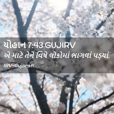 Picture 02 - યોહાન 7:43 GUJIRV - એ માટે તેને વિષે - Bible Verse Picture