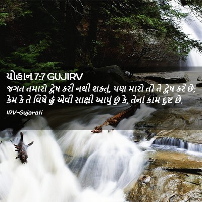 Picture 02 - યોહાન 7:7 GUJIRV - જગત તમારો દ્વેષ - Bible Verse Picture