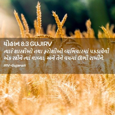 Picture 02 - યોહાન 8:3 GUJIRV - ત્યારે શાસ્ત્રીઓ - Bible Verse Picture