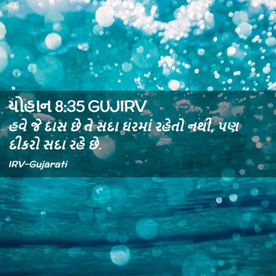 Picture 02 - યોહાન 8:35 GUJIRV - હવે જે દાસ છે તે - Bible Verse Picture