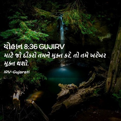 Picture 02 - યોહાન 8:36 GUJIRV - માટે જો દીકરો તમને - Bible Verse Picture