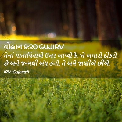 Picture 02 - યોહાન 9:20 GUJIRV - તેનાં માતાપિતાએ - Bible Verse Picture