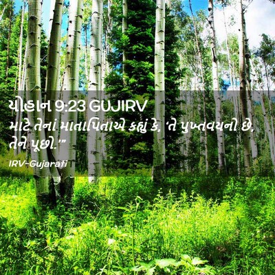 Picture 02 - યોહાન 9:23 GUJIRV - માટે તેનાં - Bible Verse Picture