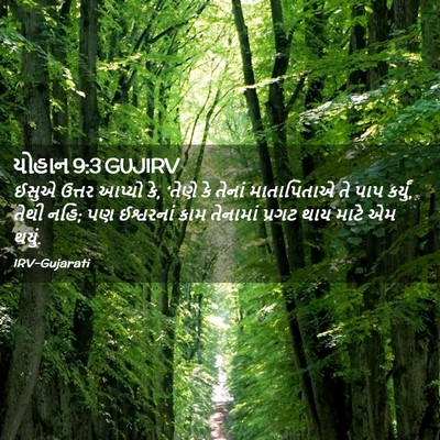 Picture 02 - યોહાન 9:3 GUJIRV - ઈસુએ ઉત્તર આપ્યો - Bible Verse Picture