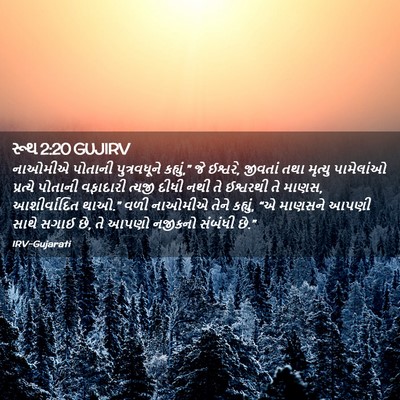 Picture 02 - રૂથ 2:20 GUJIRV - નાઓમીએ પોતાની - Bible Verse Picture