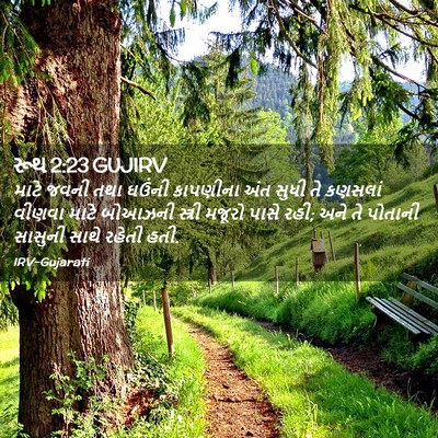 Picture 02 - રૂથ 2:23 GUJIRV - માટે જવની તથા - Bible Verse Picture
