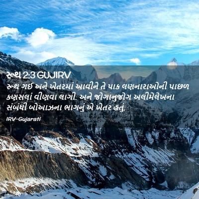 Picture 02 - રૂથ 2:3 GUJIRV - રૂથ ગઈ અને ખેતરમાં - Bible Verse Picture