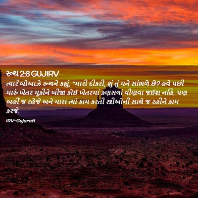 Picture 02 - રૂથ 2:8 GUJIRV - ત્યારે બોઆઝે - Bible Verse Picture