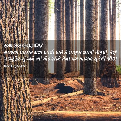 Picture 02 - રૂથ 3:8 GUJIRV - લગભગ મધરાત થવા આવી - Bible Verse Picture