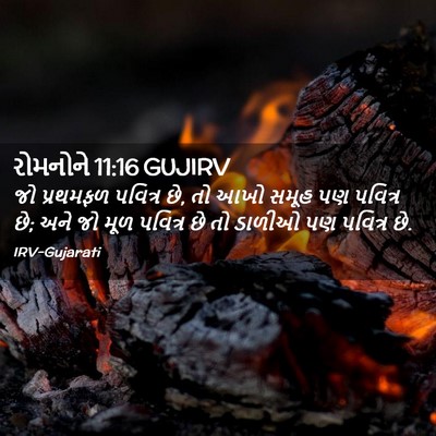 Picture 02 - રોમનોને 11:16 GUJIRV - જો પ્રથમફળ પવિત્ર - Bible Verse Picture