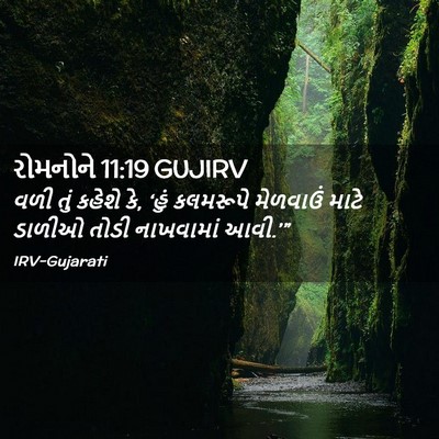 Picture 02 - રોમનોને 11:19 GUJIRV - વળી તું કહેશે કે, - Bible Verse Picture