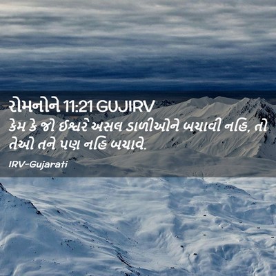 Picture 02 - રોમનોને 11:21 GUJIRV - કેમ કે જો ઈશ્વરે - Bible Verse Picture