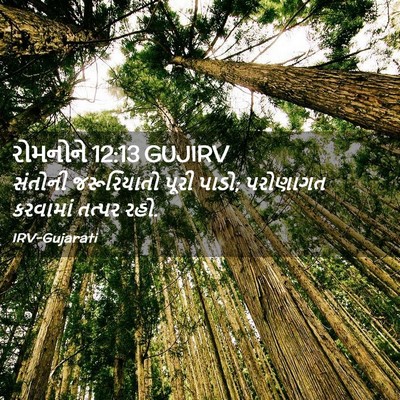 Picture 02 - રોમનોને 12:13 GUJIRV - સંતોની જરૂરિયાતો - Bible Verse Picture
