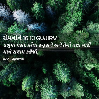 Picture 02 - રોમનોને 16:13 GUJIRV - પ્રભુમાં પસંદ - Bible Verse Picture
