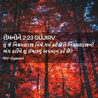 Picture 02 - રોમનોને 2:23 GUJIRV - તું જે - Bible Verse Picture