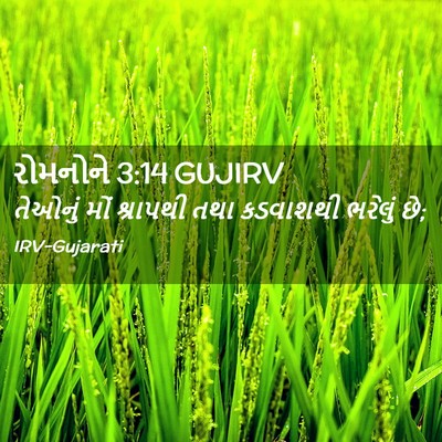 Picture 02 - રોમનોને 3:14 GUJIRV - તેઓનું મોં - Bible Verse Picture