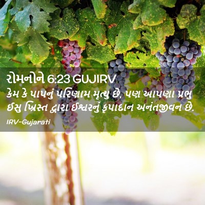 Picture 02 - રોમનોને 6:23 GUJIRV - કેમ કે પાપનું - Bible Verse Picture