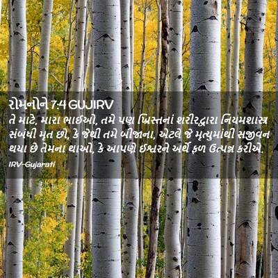 Picture 02 - રોમનોને 7:4 GUJIRV - તે માટે, મારા ભાઈઓ, - Bible Verse Picture