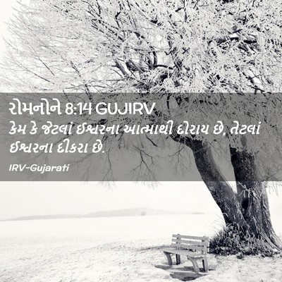 Picture 02 - રોમનોને 8:14 GUJIRV - કેમ કે જેટલાં - Bible Verse Picture