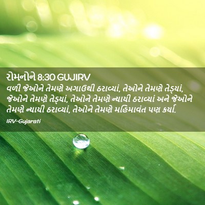 Picture 02 - રોમનોને 8:30 GUJIRV - વળી જેઓને તેમણે - Bible Verse Picture