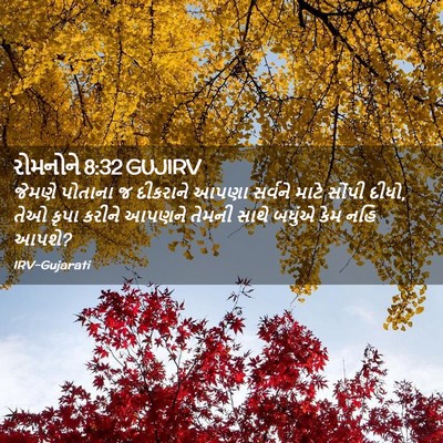 Picture 02 - રોમનોને 8:32 GUJIRV - જેમણે પોતાના જ - Bible Verse Picture