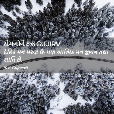 Picture 02 - રોમનોને 8:6 GUJIRV - દૈહિક મન મરણ છે; પણ - Bible Verse Picture