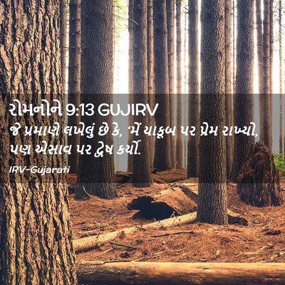 Picture 02 - રોમનોને 9:13 GUJIRV - જે પ્રમાણે લખેલું - Bible Verse Picture