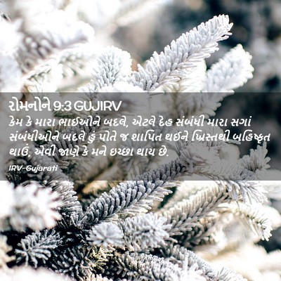 Picture 02 - રોમનોને 9:3 GUJIRV - કેમ કે મારા ભાઈઓને - Bible Verse Picture