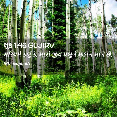Picture 02 - લૂક 1:46 GUJIRV - મરિયમે કહ્યું કે, - Bible Verse Picture