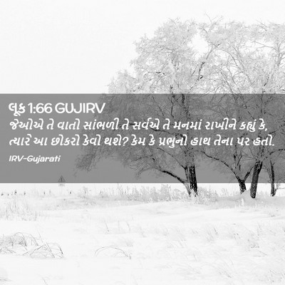 Picture 02 - લૂક 1:66 GUJIRV - જેઓએ તે વાતો - Bible Verse Picture