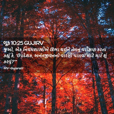 Picture 02 - લૂક 10:25 GUJIRV - જુઓ, એક - Bible Verse Picture