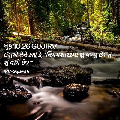 Picture 02 - લૂક 10:26 GUJIRV - ઈસુએ તેને કહ્યું - Bible Verse Picture