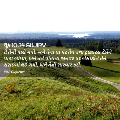 Picture 02 - લૂક 10:34 GUJIRV - તે તેની પાસે ગયો, - Bible Verse Picture