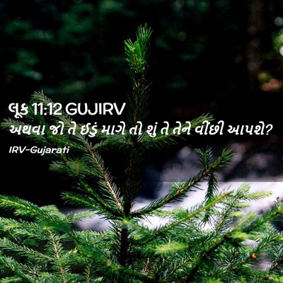 Picture 02 - લૂક 11:12 GUJIRV - અથવા જો તે ઈડું - Bible Verse Picture