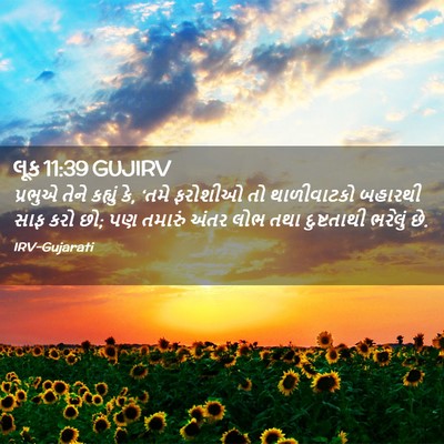 Picture 02 - લૂક 11:39 GUJIRV - પ્રભુએ તેને - Bible Verse Picture